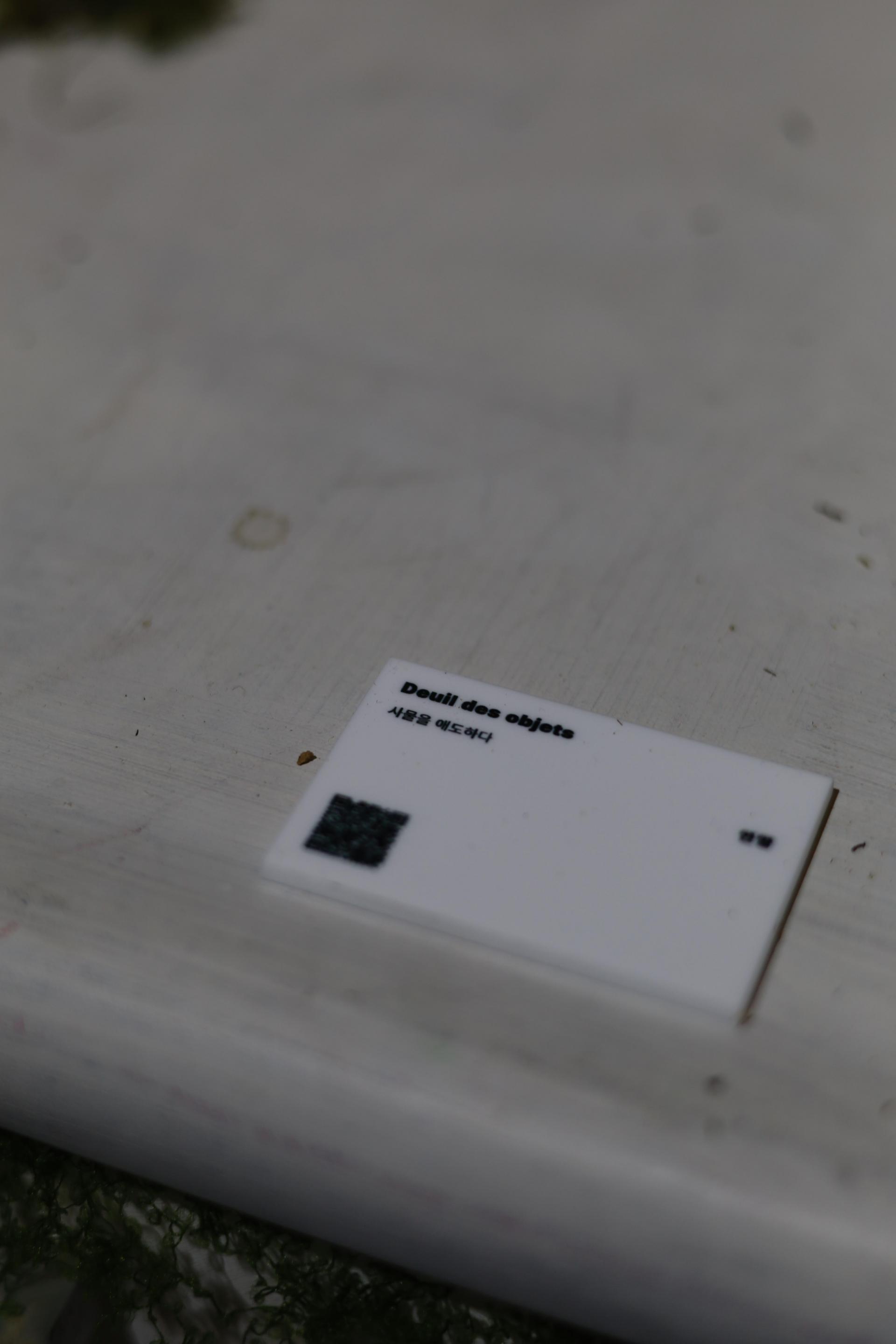 1ff33d59b8986.jpg