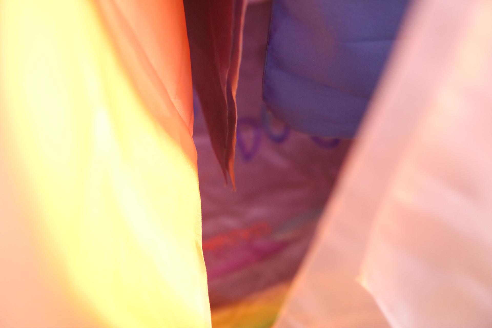 2660b8358d354.jpg