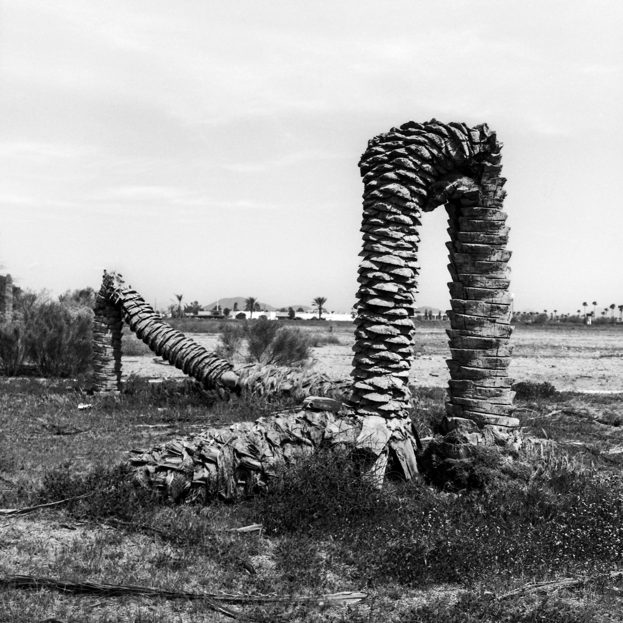 8c3c7d1595457.png