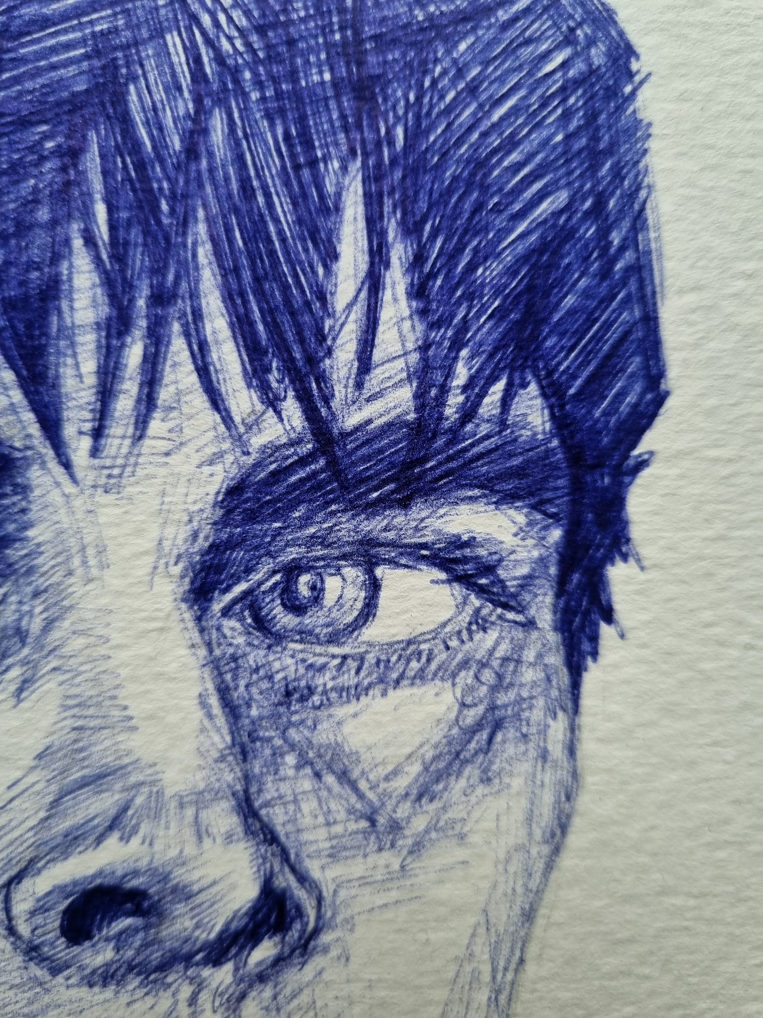 8c6a357059142.jpeg