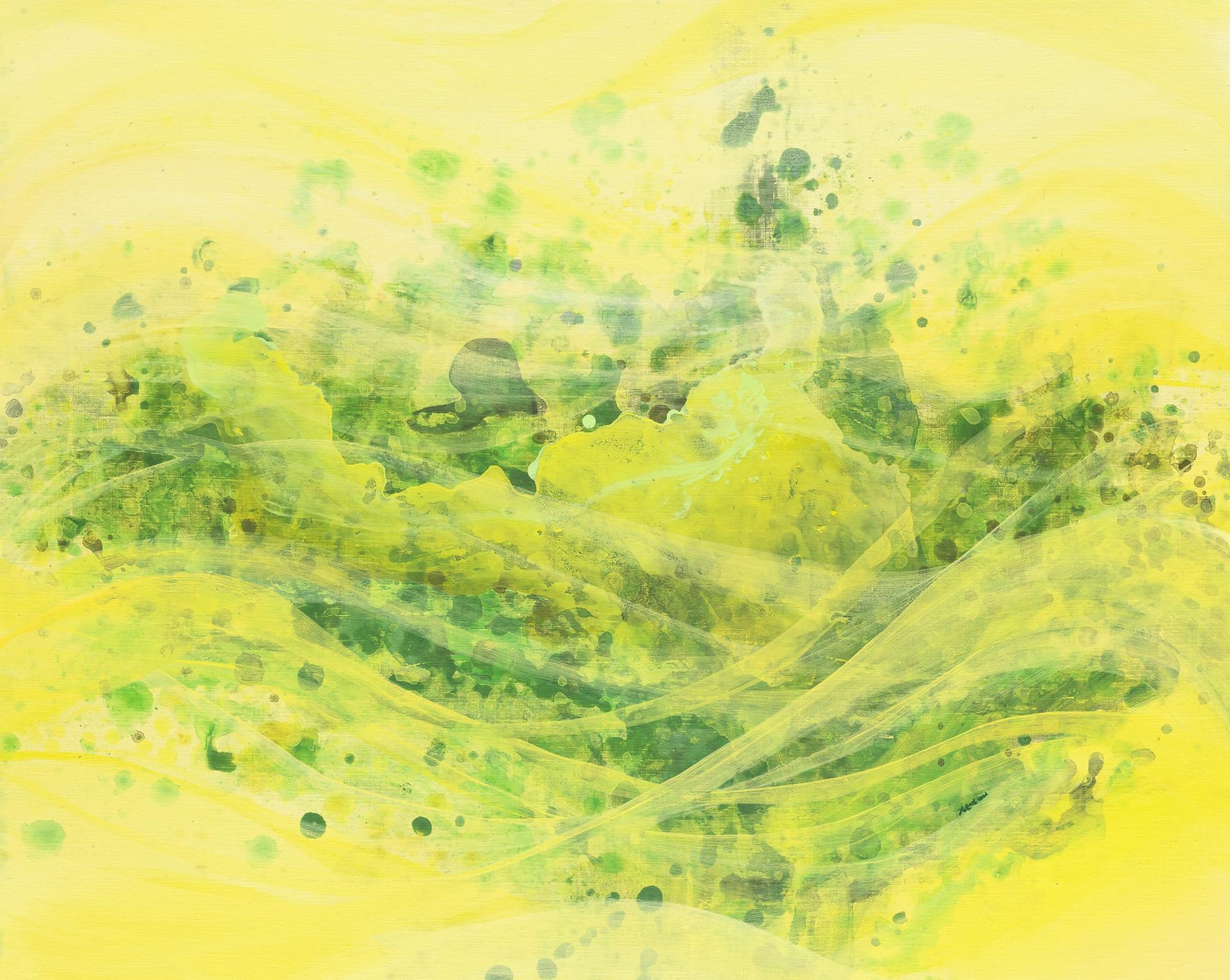 bc7c0088c748b.jpg
