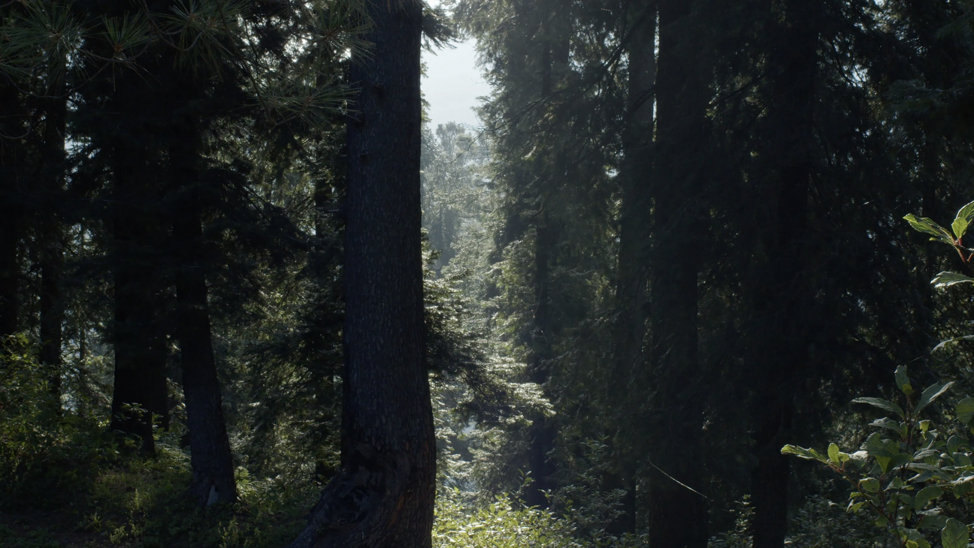 c2e0563d4fb66.png