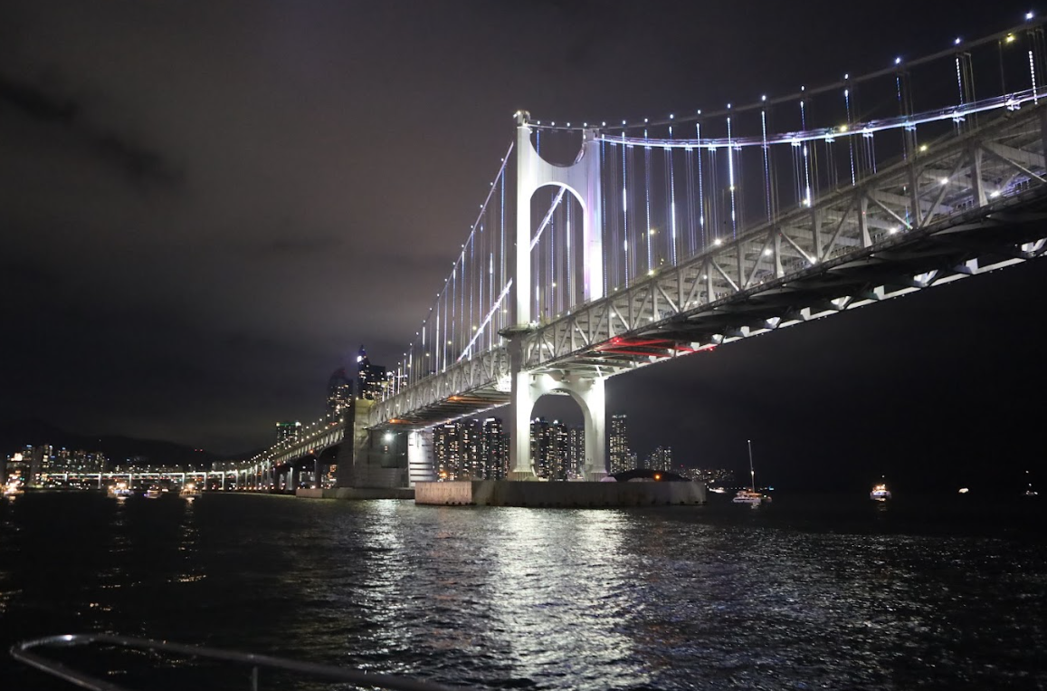 d9996a14f5566.png