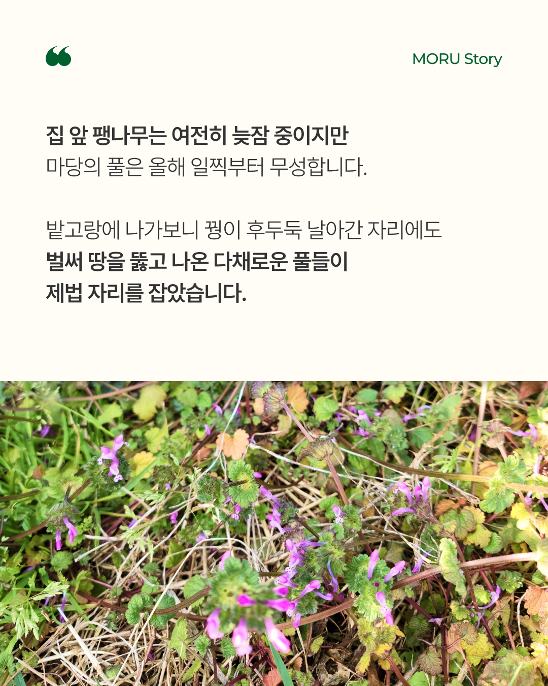 3487cf2f0cb87.png