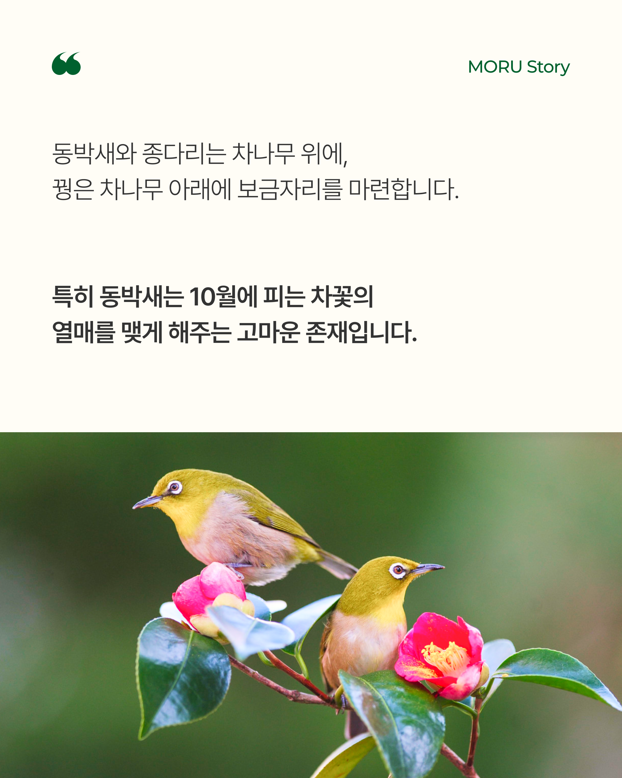 40c2892d9b797.png