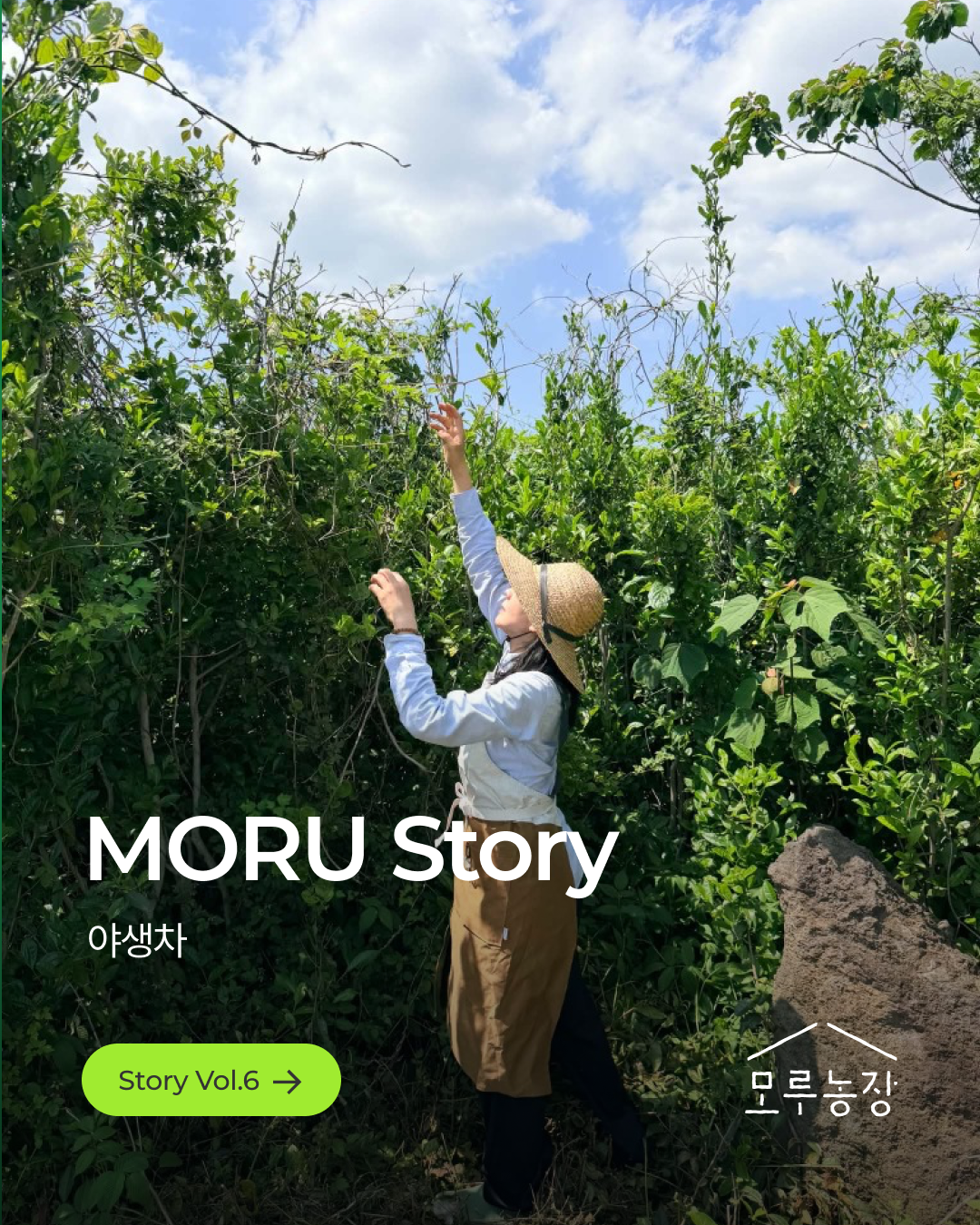 story_01.png