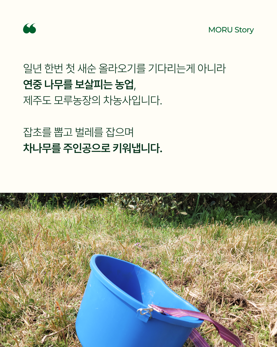 5cf729921f7d4.png
