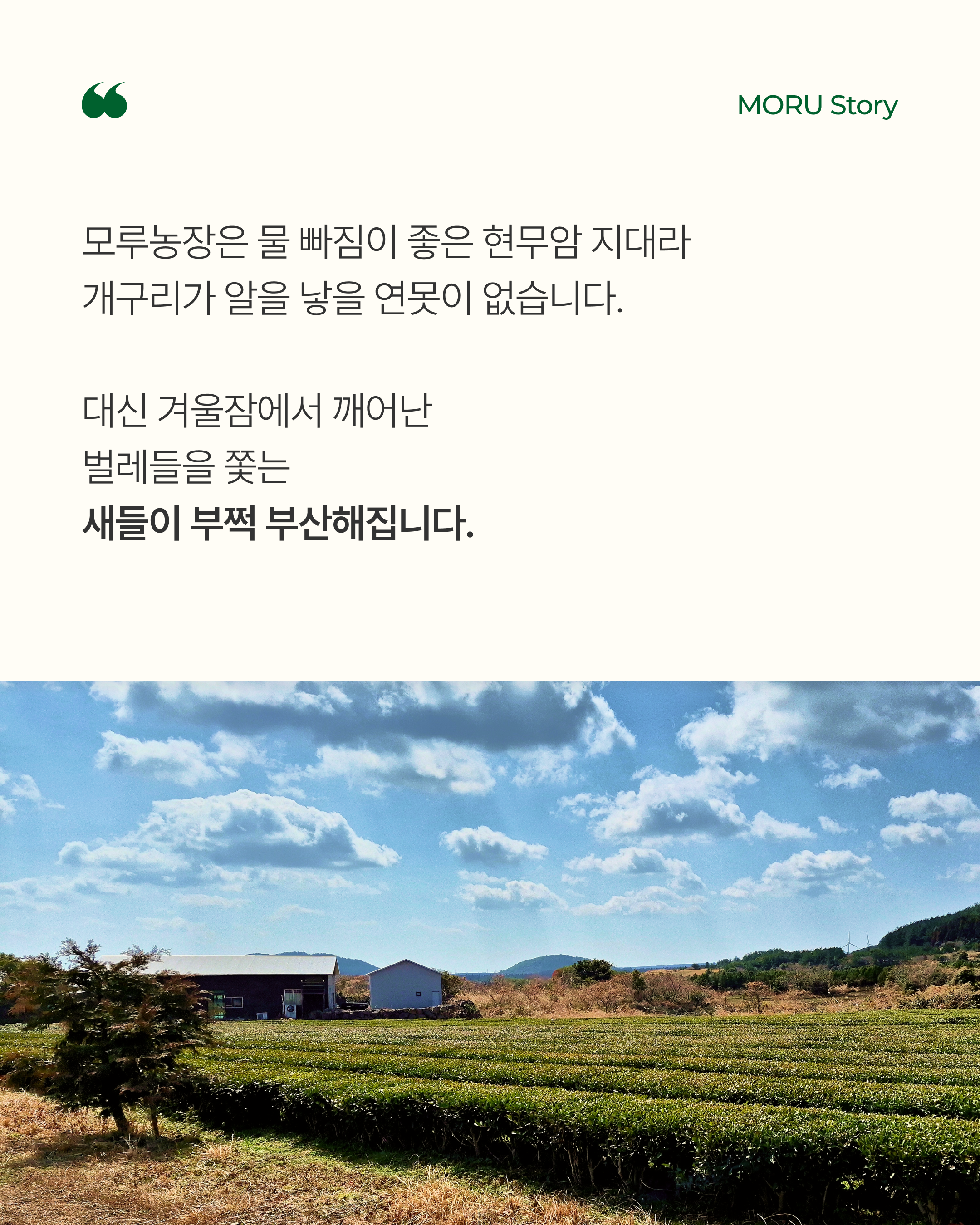 6803ccc26baac.png