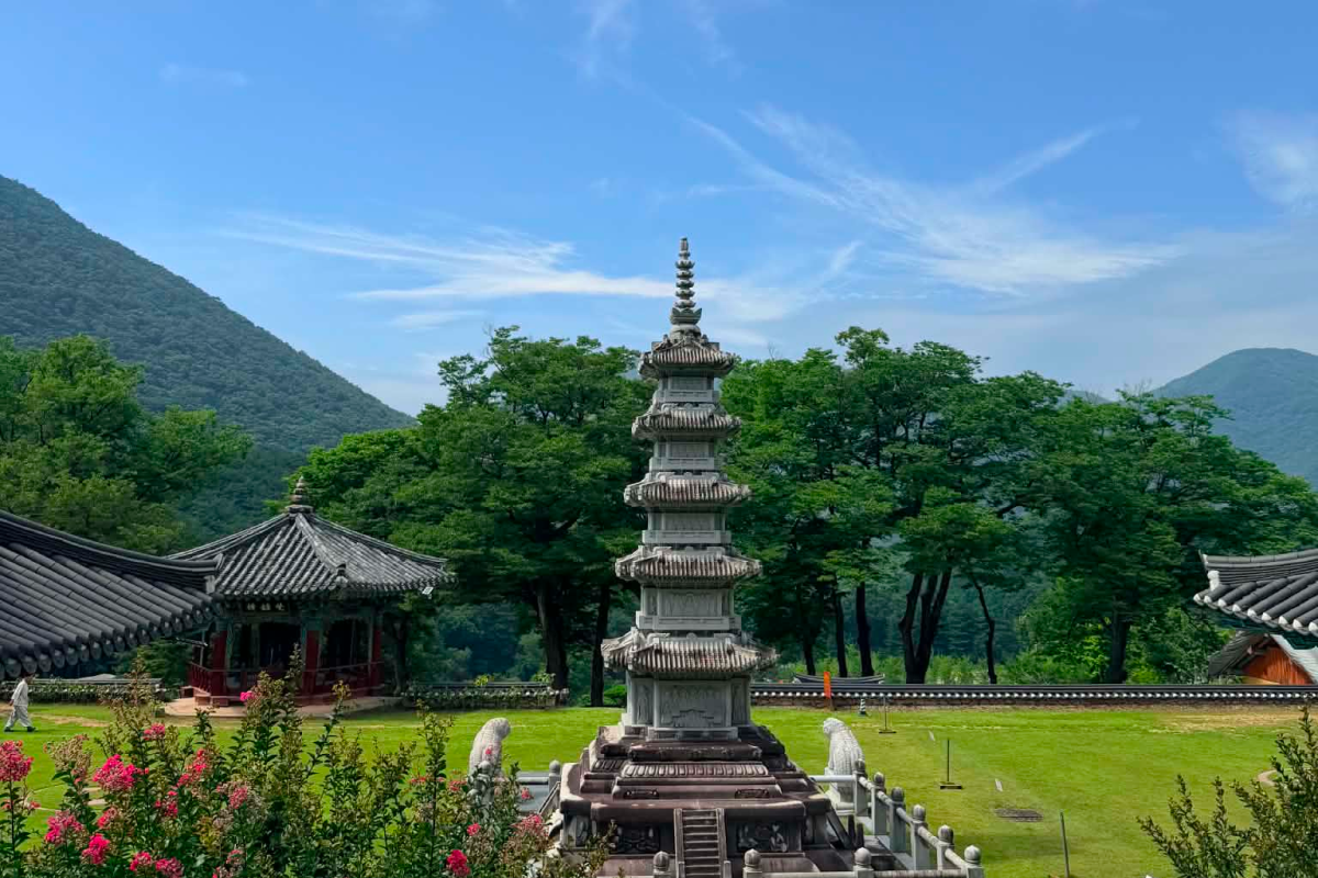 Serene view of the ancient Konglimsa Temple surrounded by majestic old pine trees