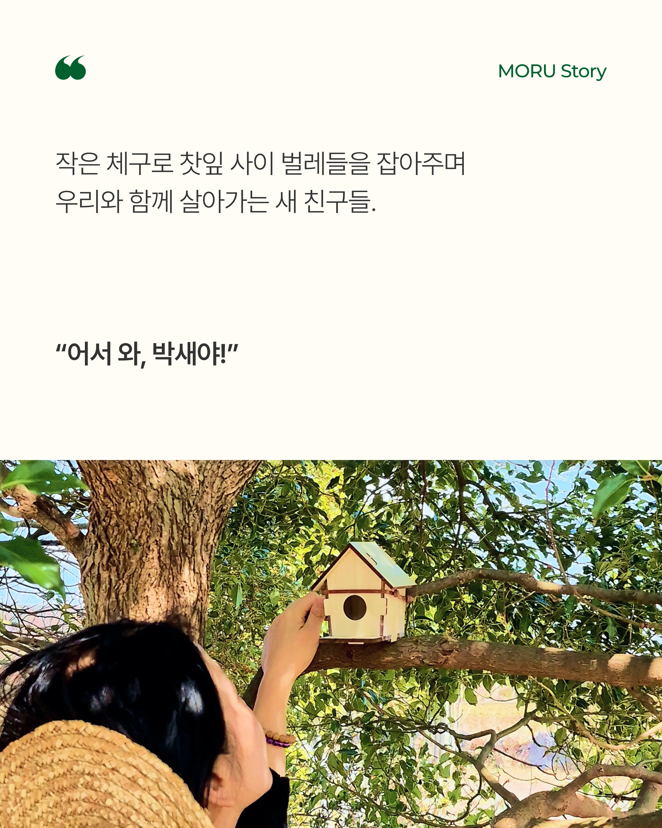 76d6271ead287.png
