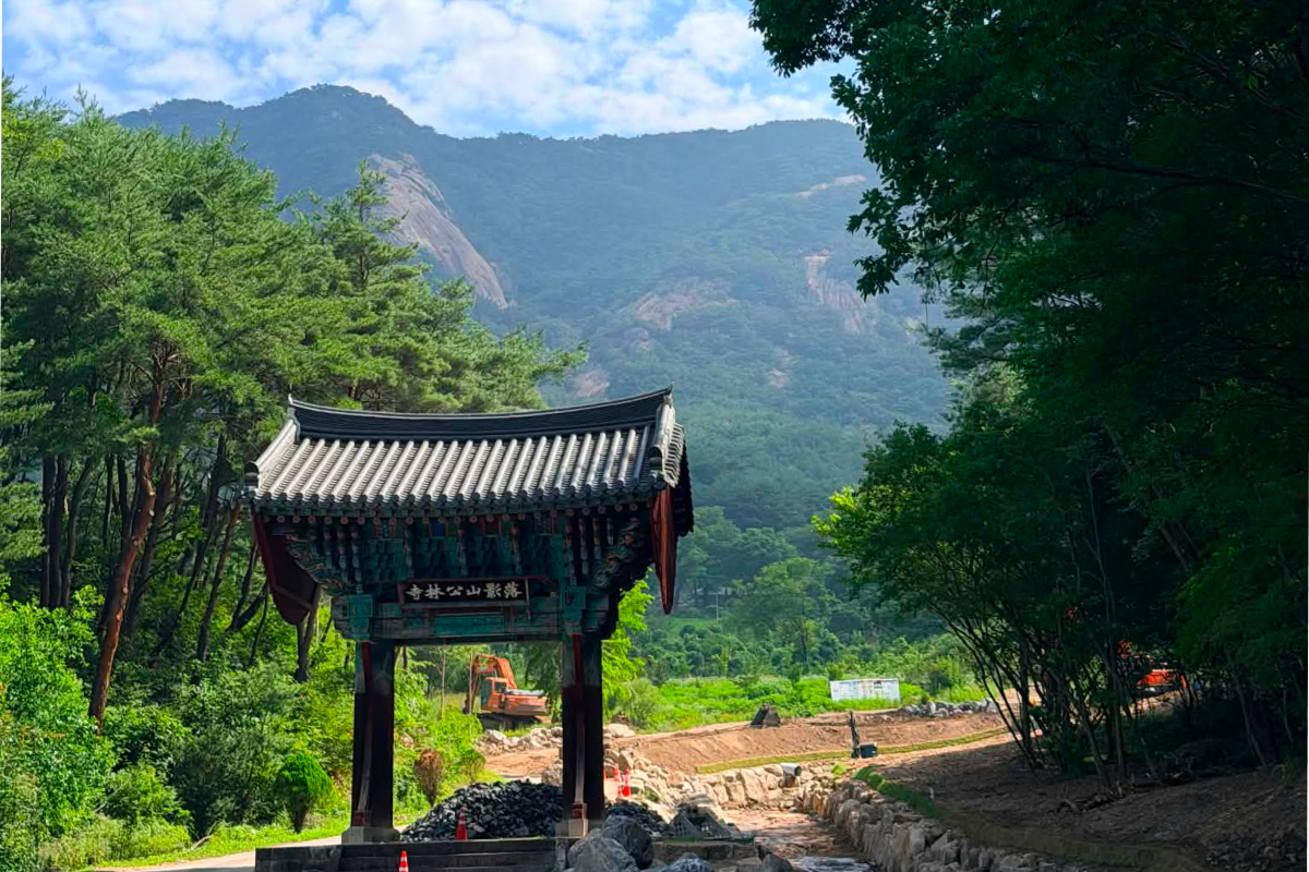 Konglimsa forest