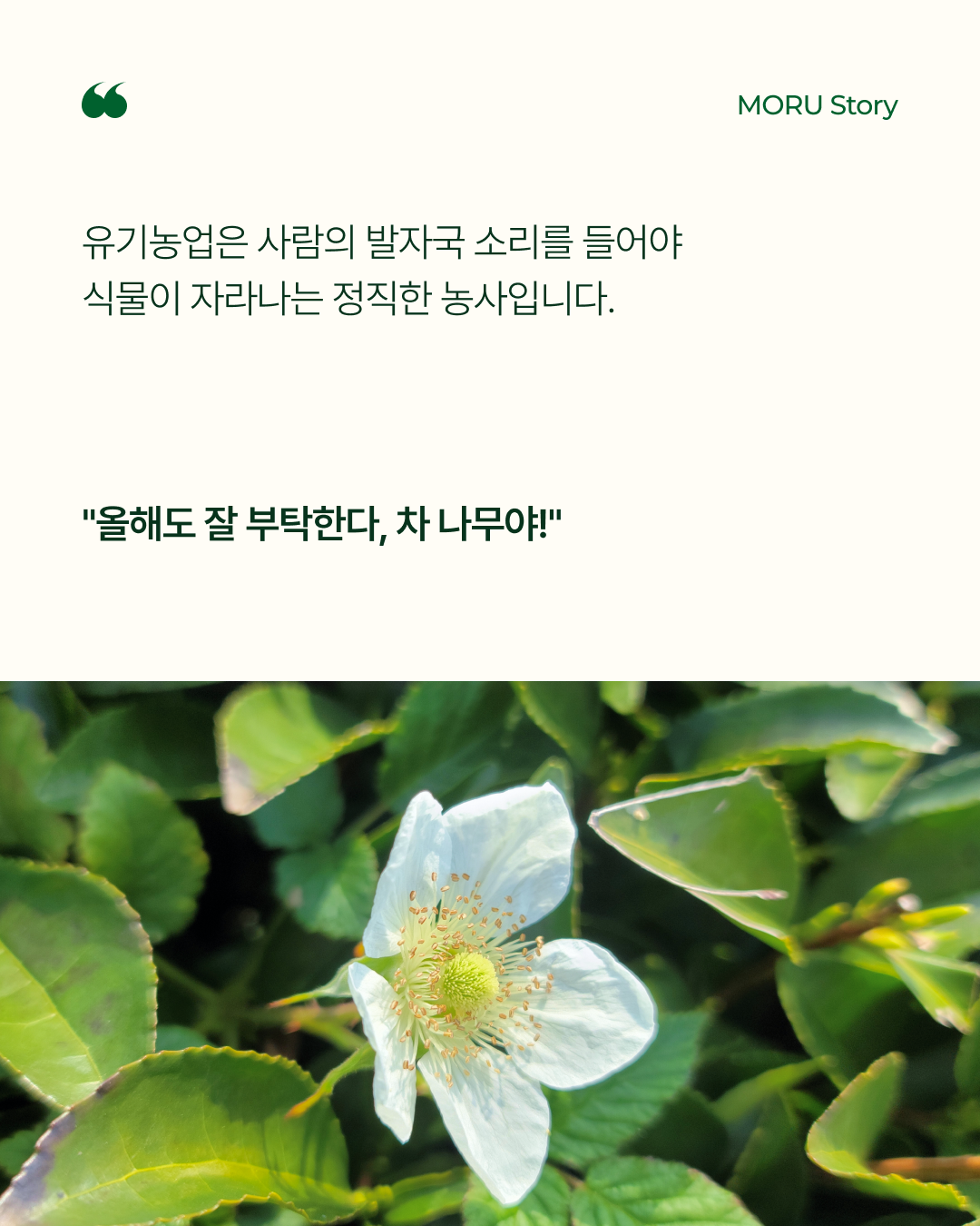 b85939d4f728a.png