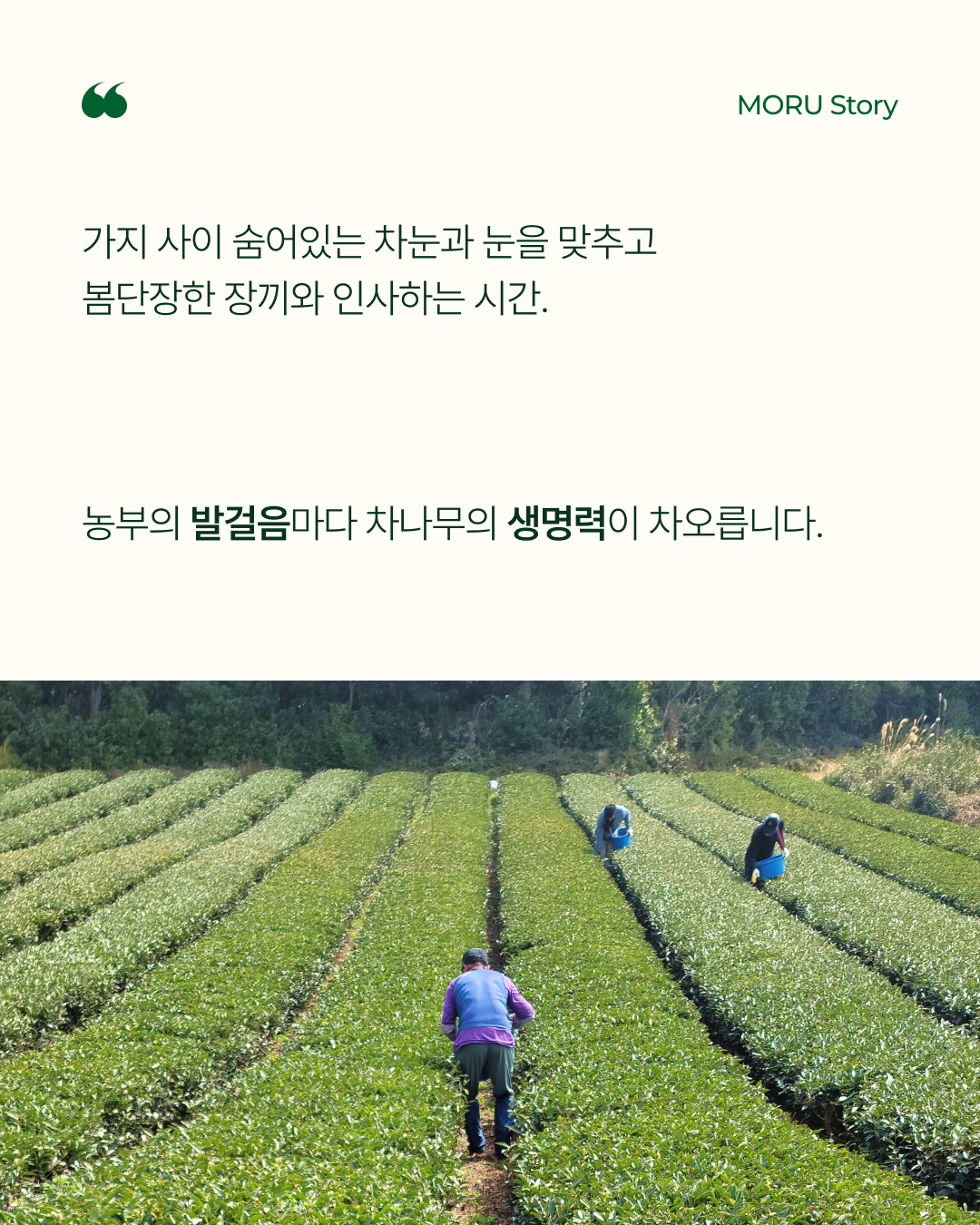 fe5c0f261db14.png