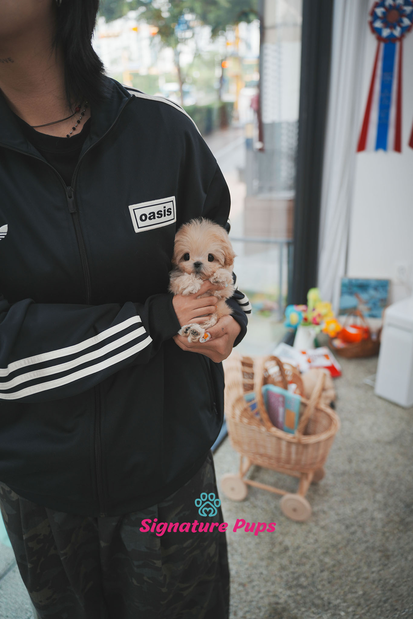 81132dc5af2a6.jpg
