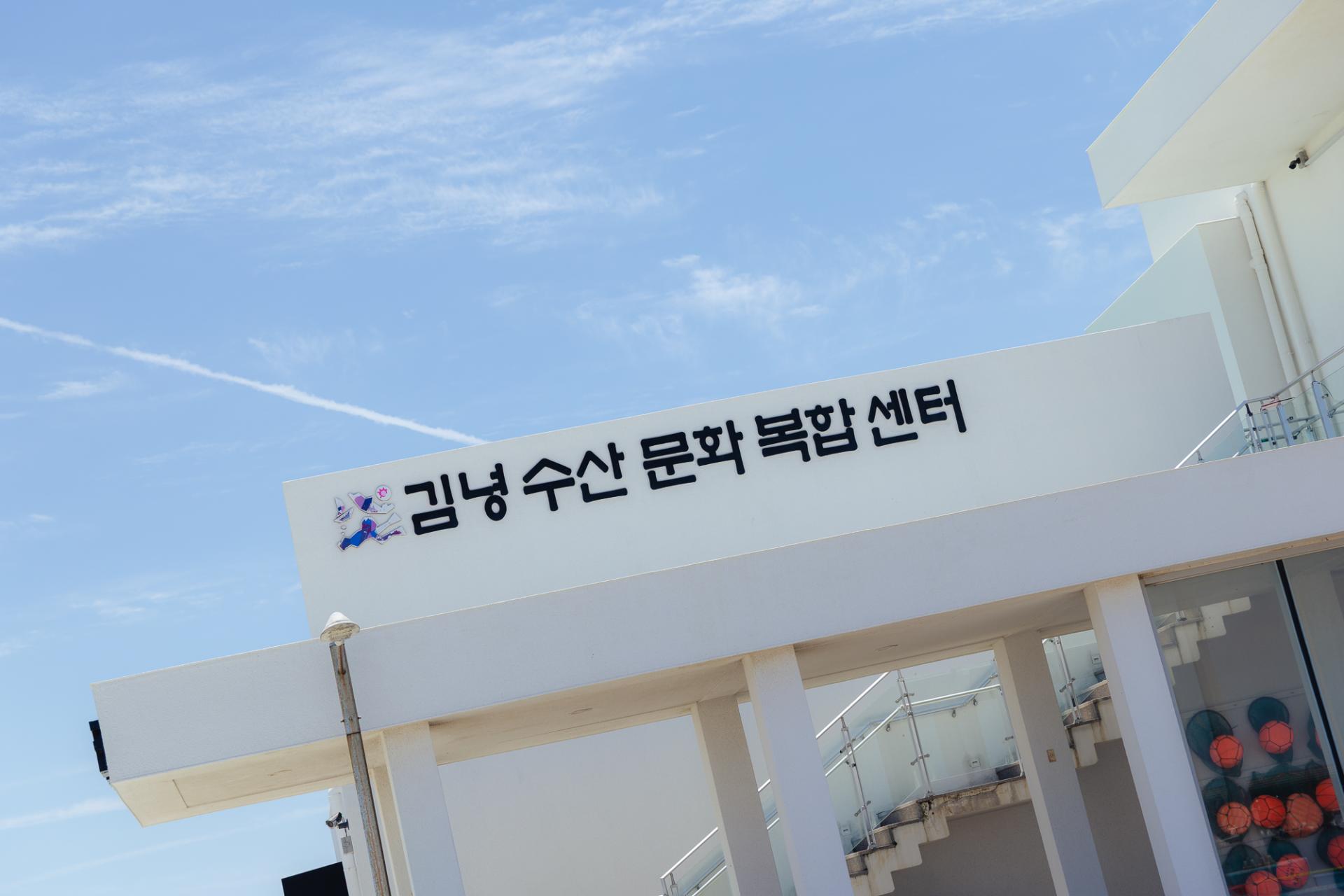 김녕 바다 바릇잡이: 맨손으로 해산물 채집하기