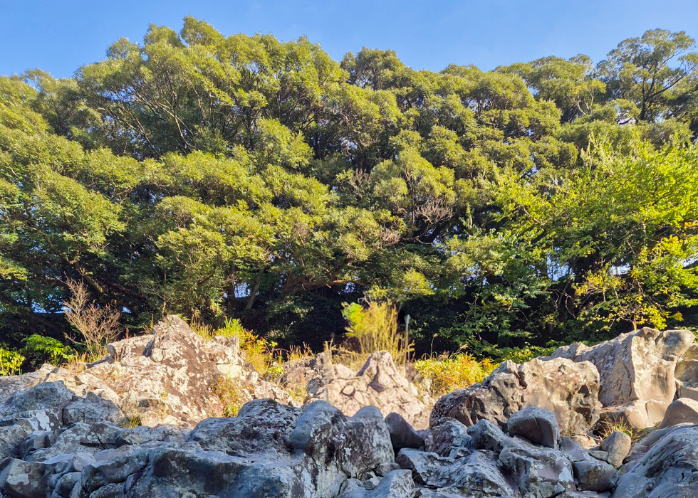 나를 위한 시간