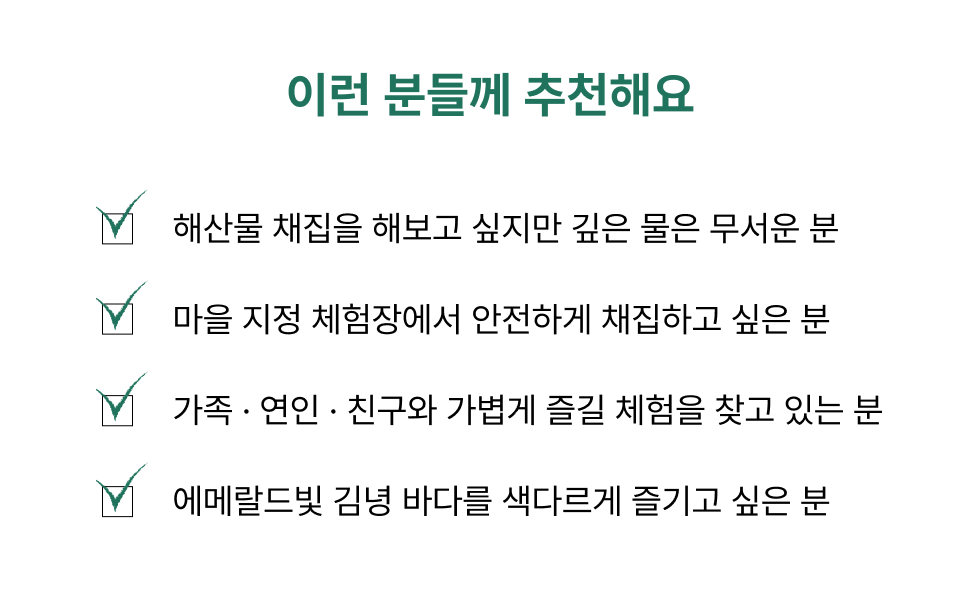 김녕 바다 바릇잡이: 맨손으로 해산물 채집하기