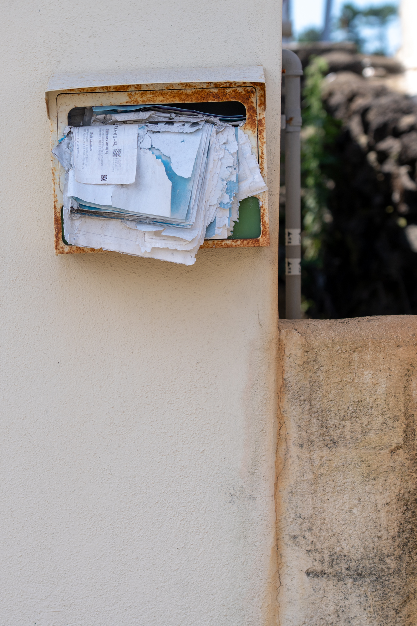 DSC07324-Enhanced-NR