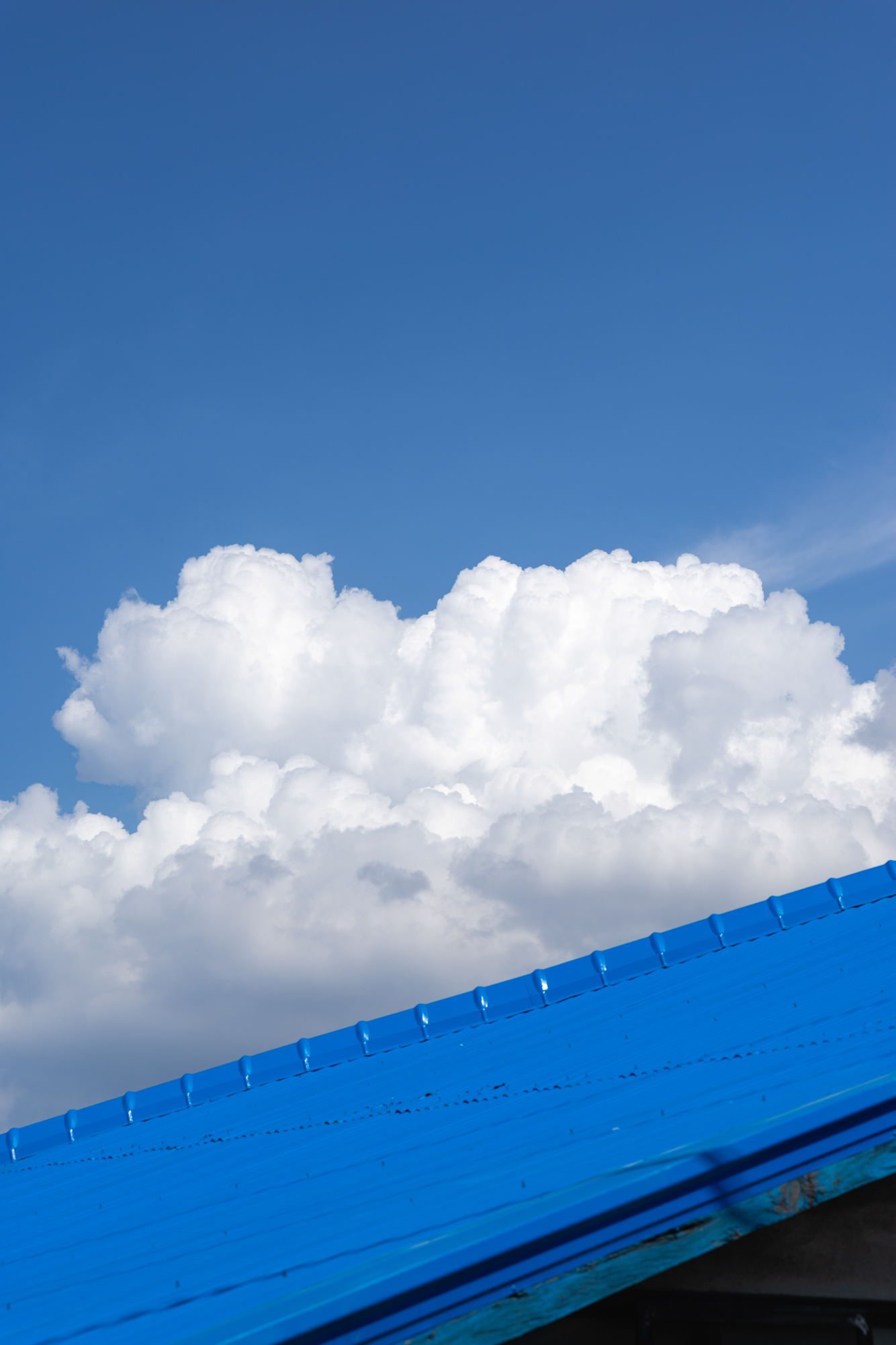 DSC07324-Enhanced-NR