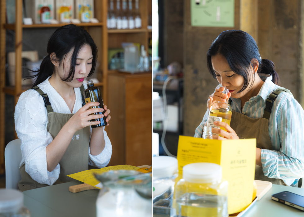 제주의 초여름을 가득 담은 하귤첼로 만들기