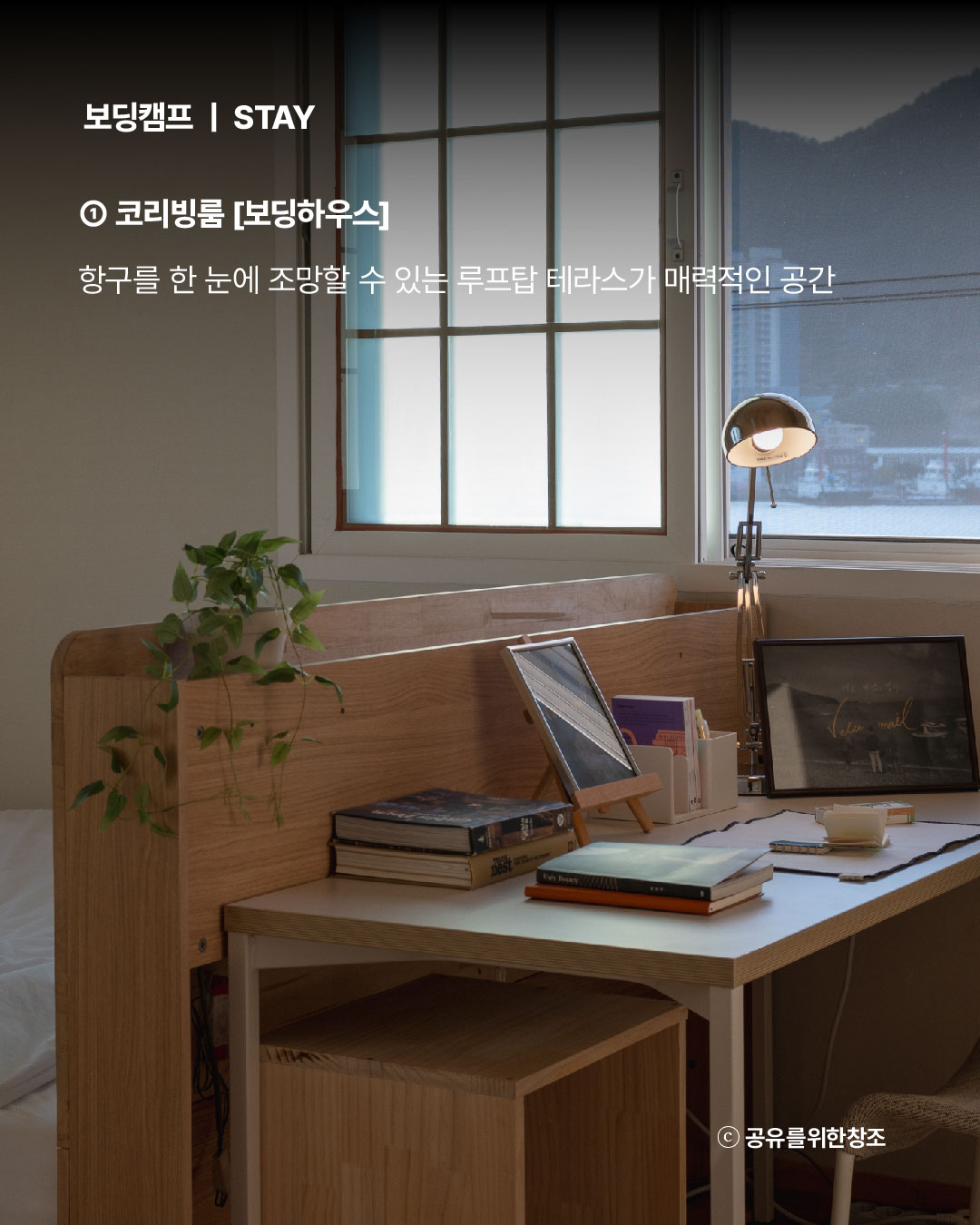 6187323de9d4b.jpg