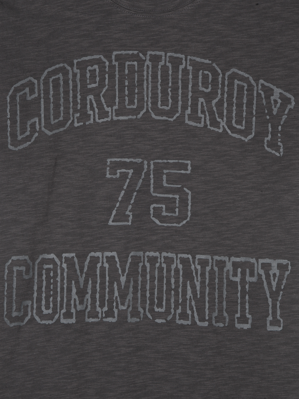 Community slub crop half t