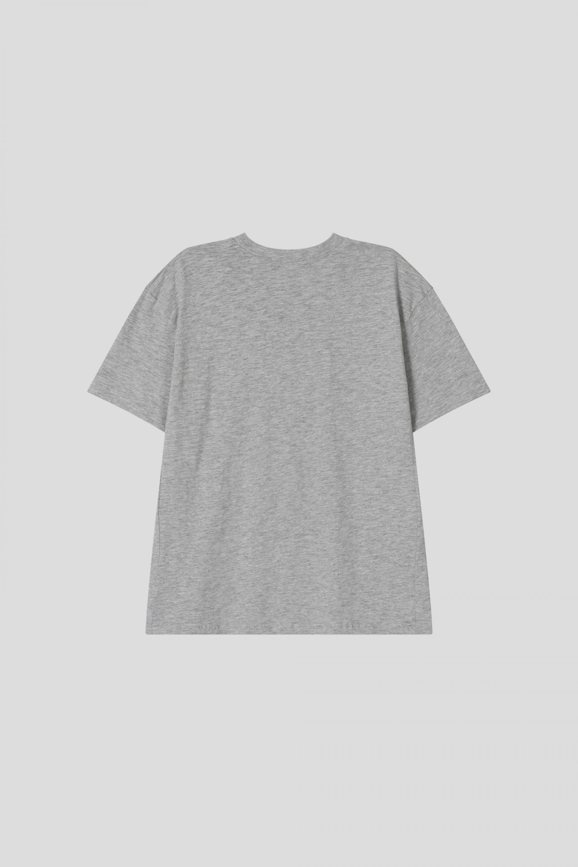 Star and Stripe slab crop half T