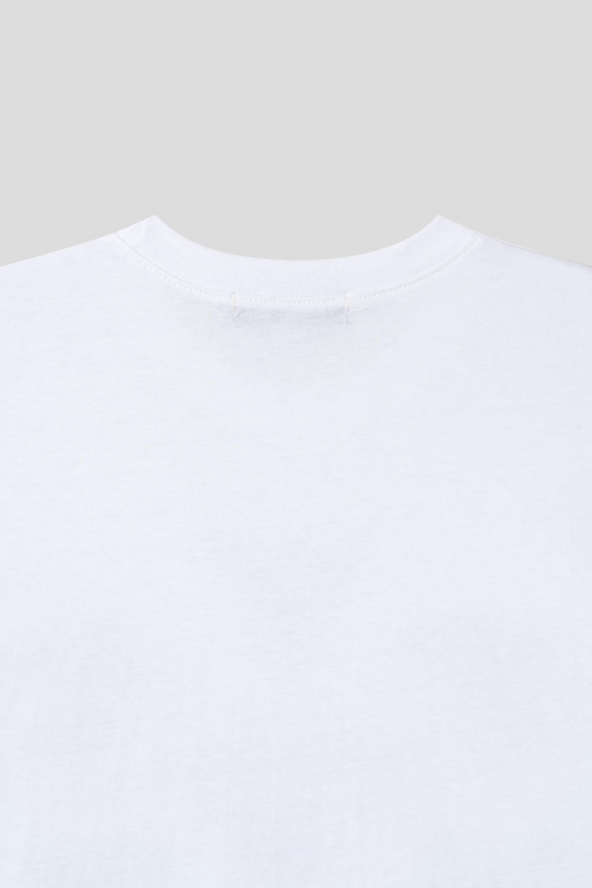 Pegasus Standard t