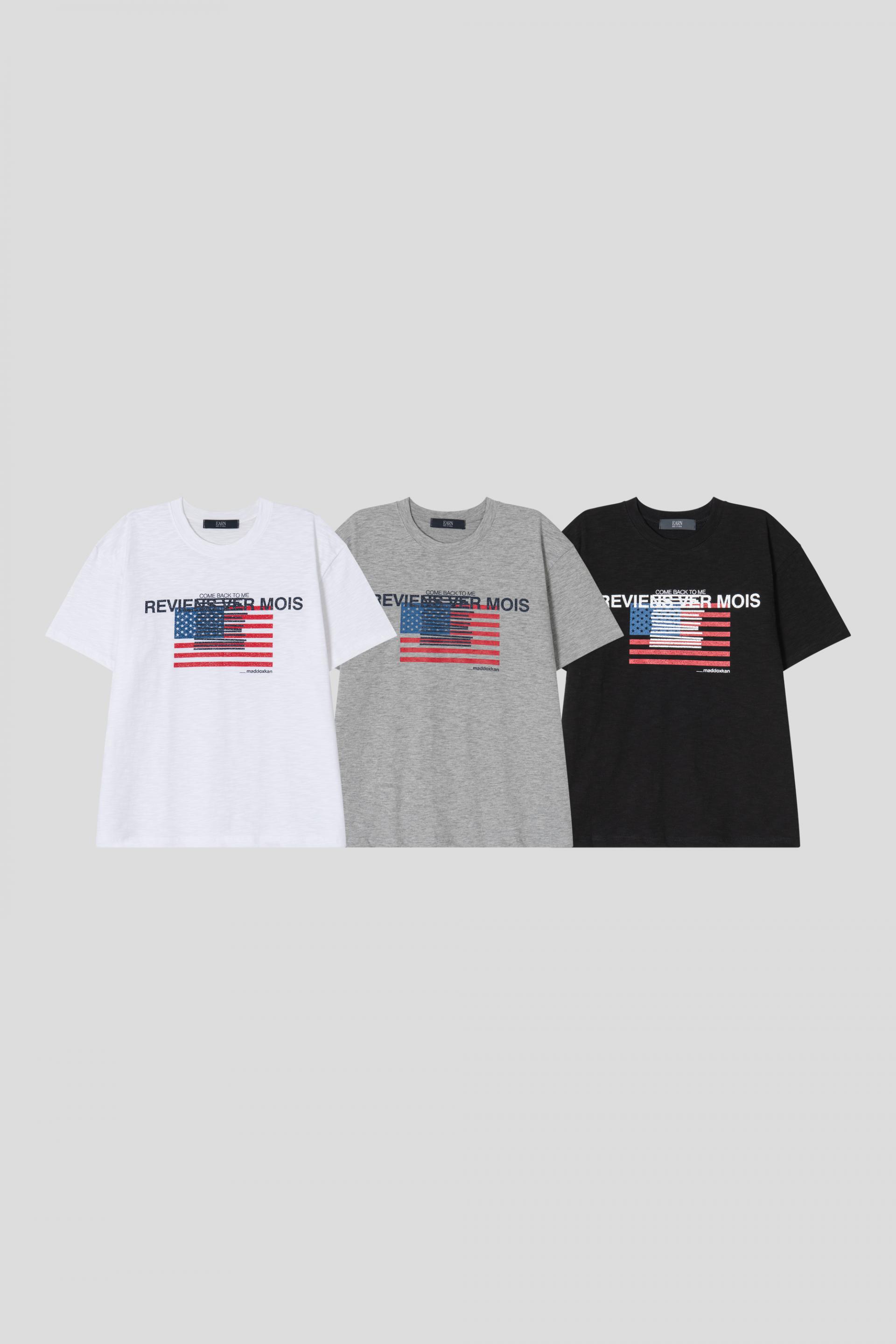 Star and Stripe slab crop half T