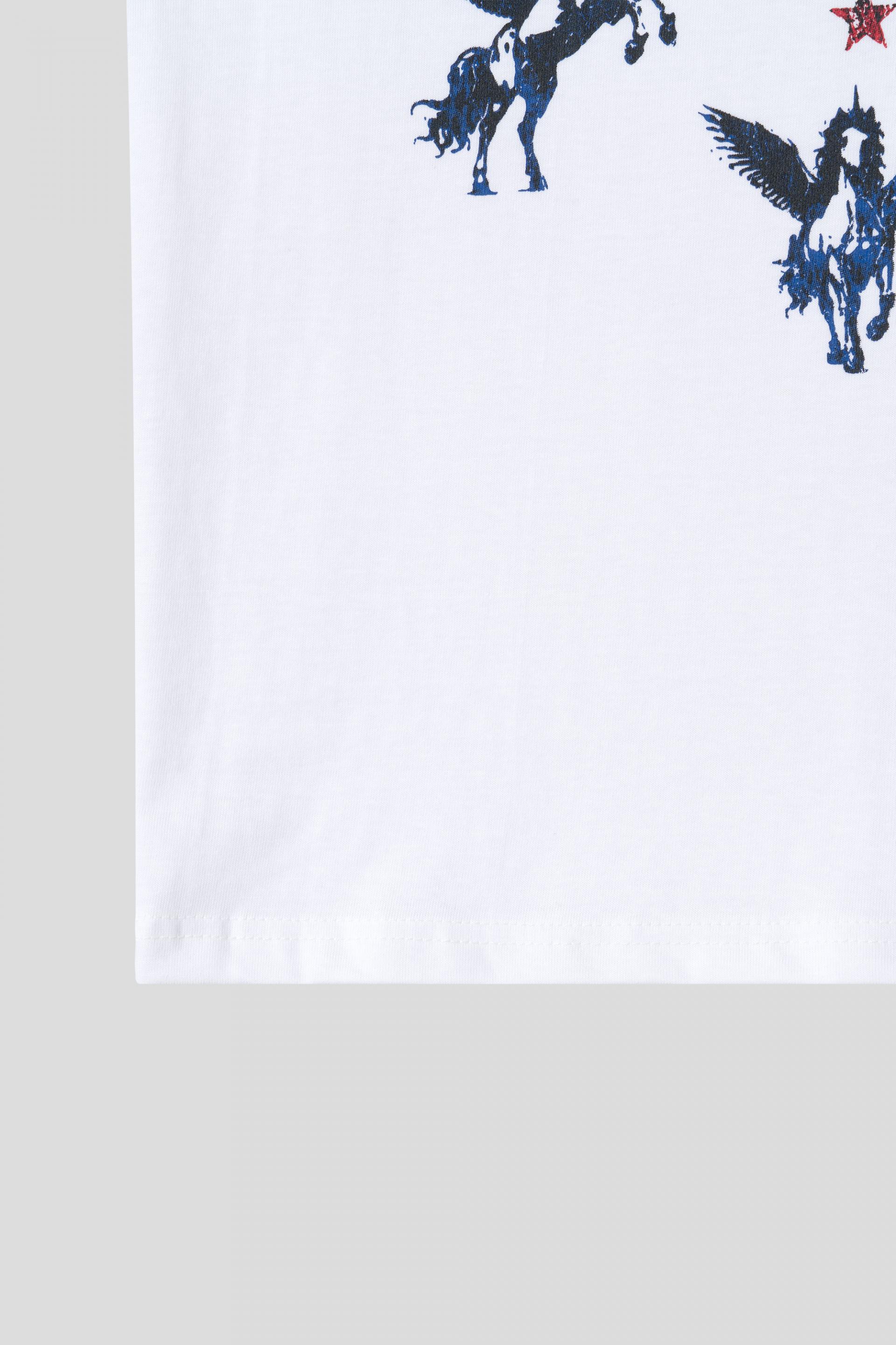 Pegasus Standard t