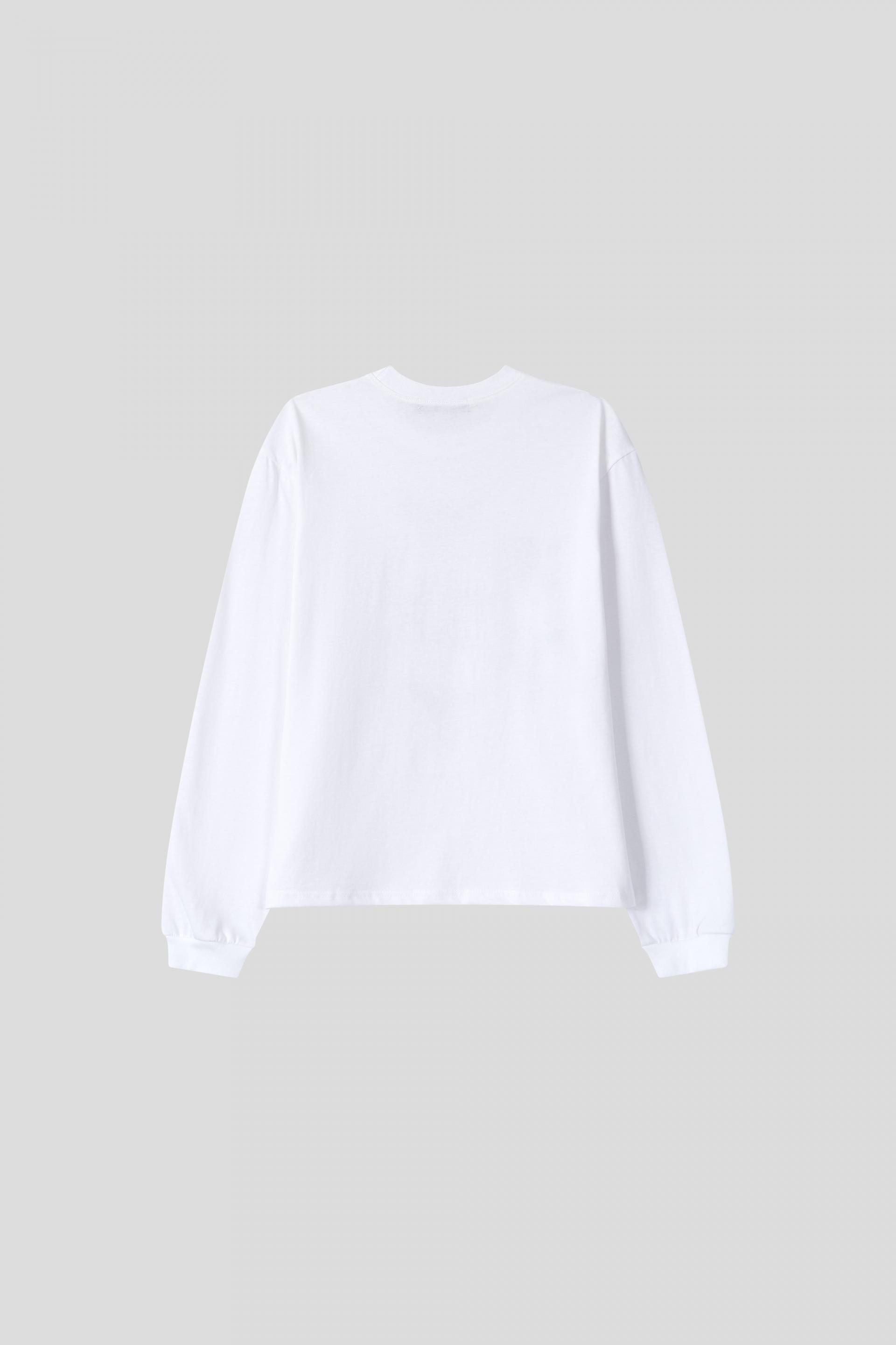 Pegasus Standard t