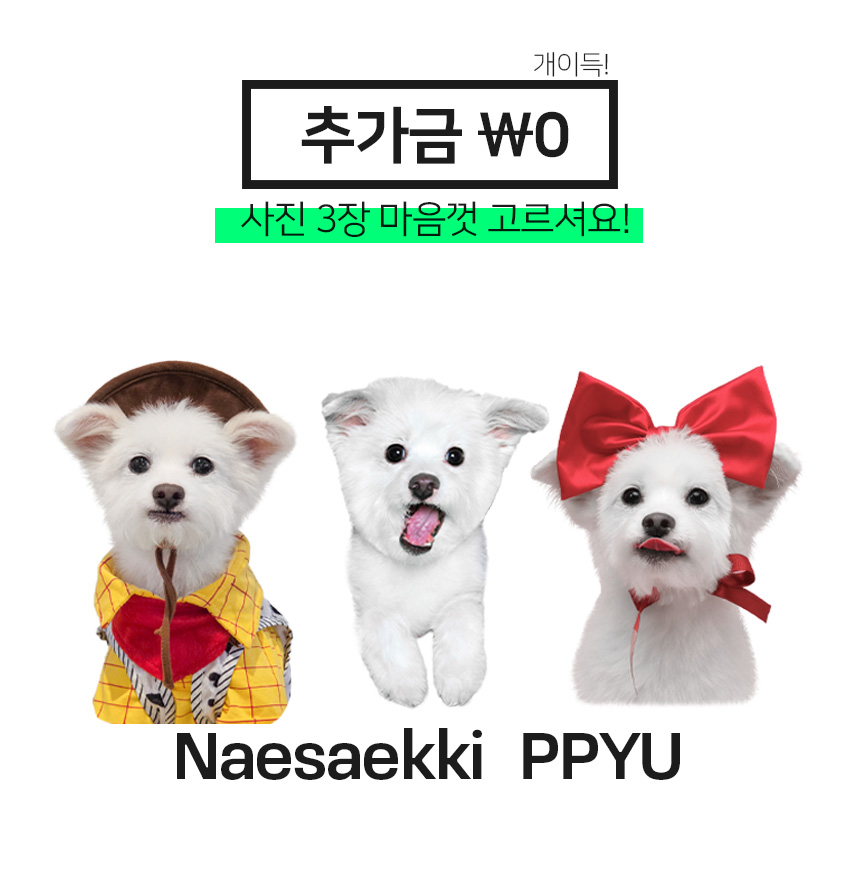내새끼 3새끼 티셔츠