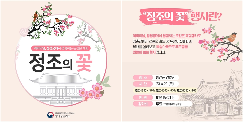 행사 안내