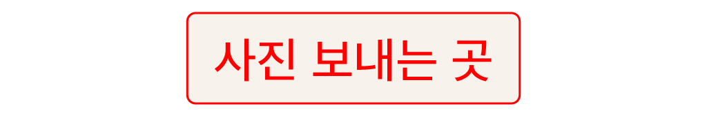 [커스텀] 반려동물 자수 크로스백