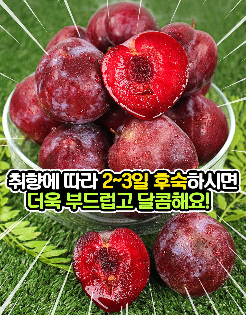 새콤달콤 피자두
