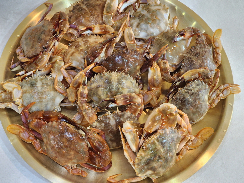 대용량 돌게 10kg : 오성농수산
