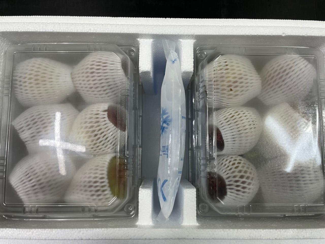 산지직송, 영암 홍무화과