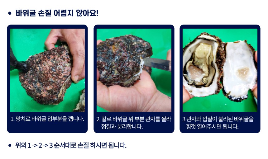 자연산 바위굴
