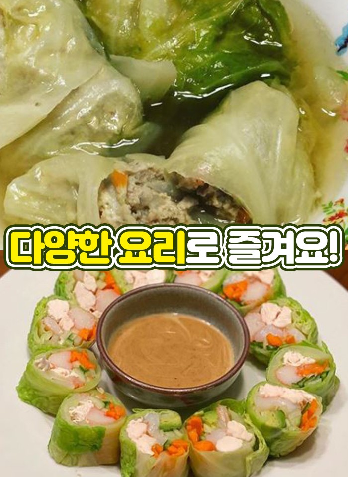 제주 고깔 양배추