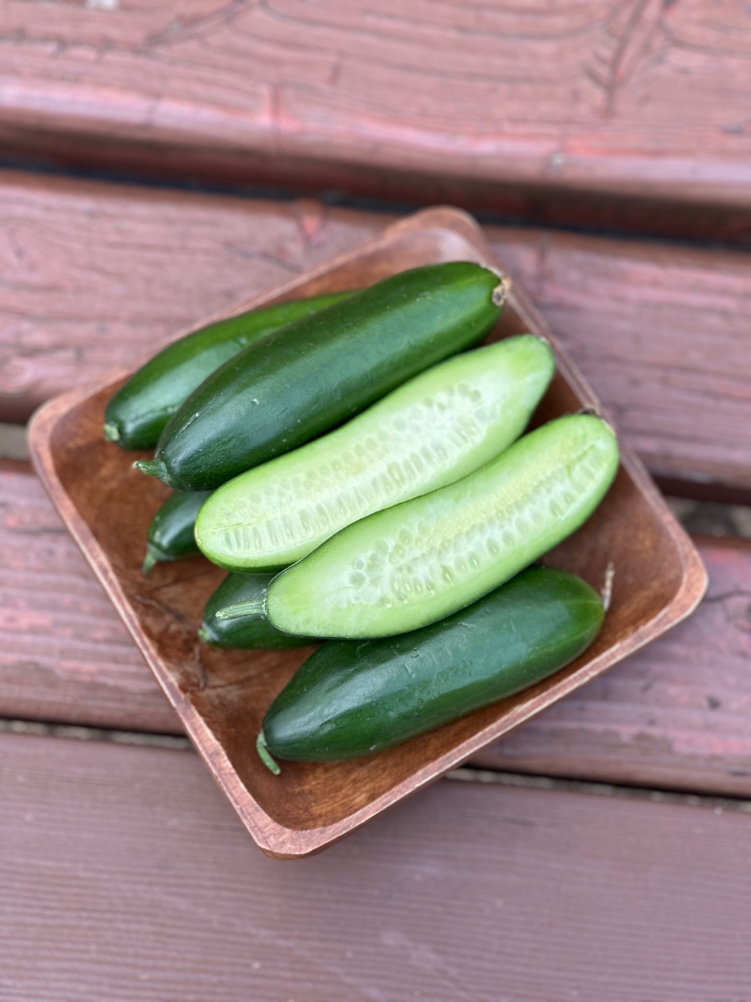 시원 아삭 미니오이🥒
