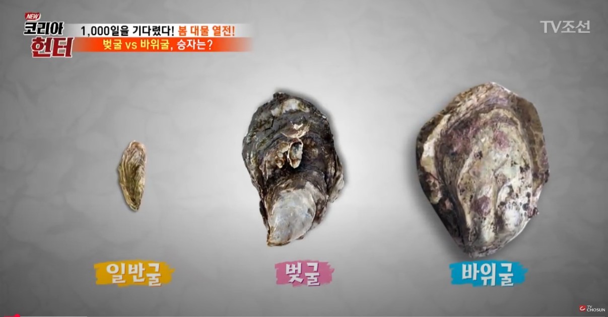 자연산 바위굴