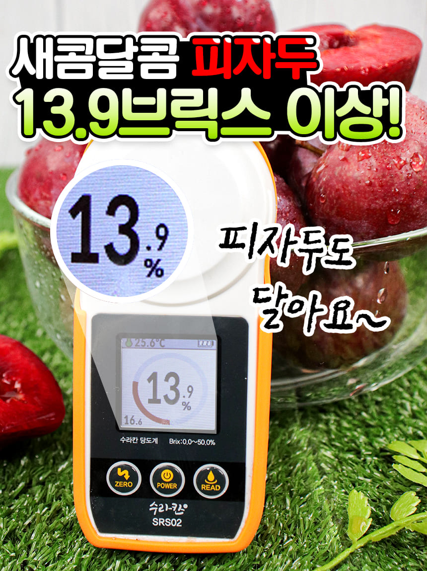 새콤달콤 피자두
