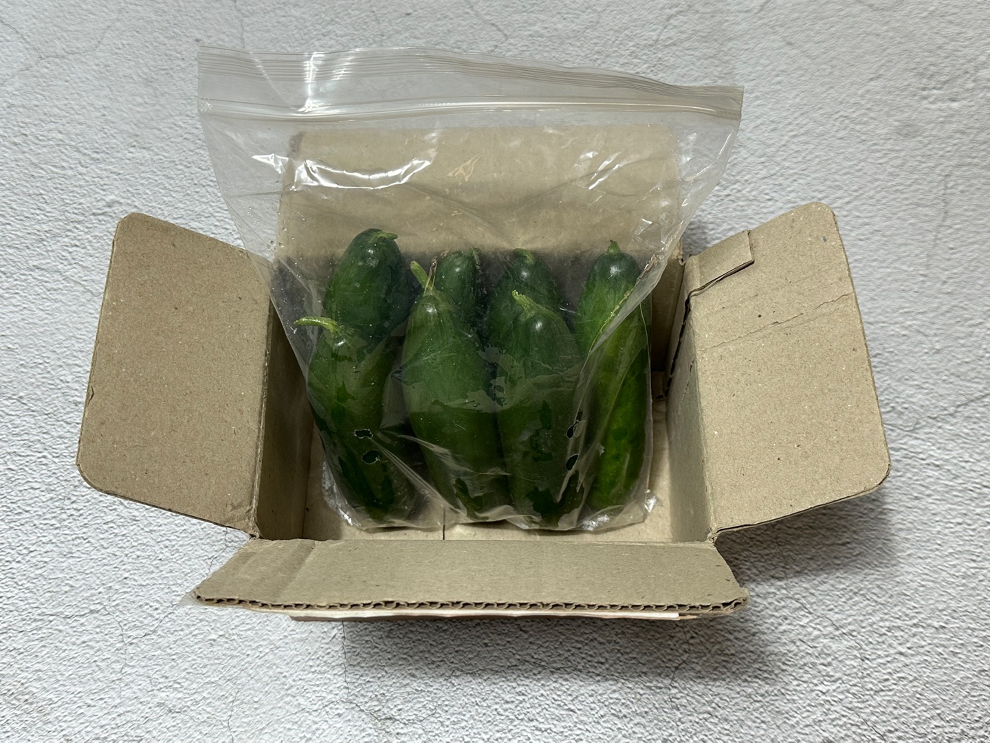 시원 아삭 미니오이🥒