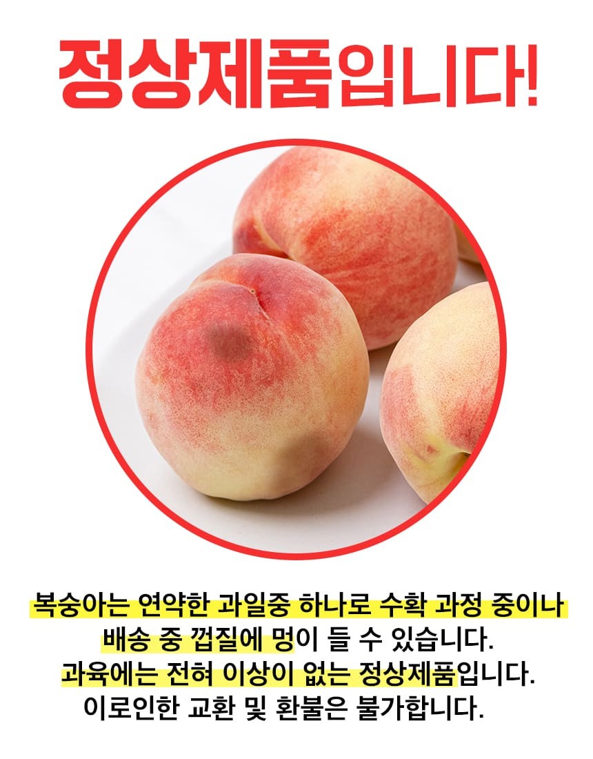 백도 딱딱이