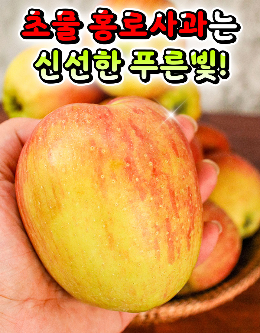 햇 가정용 홍로사과