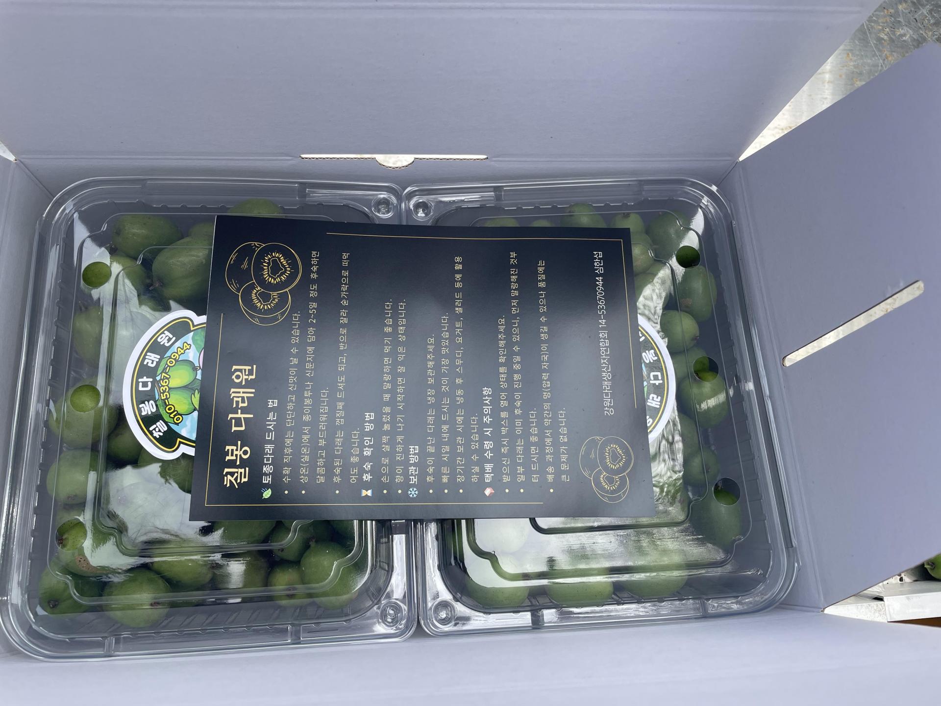 치악산 생 토종다래