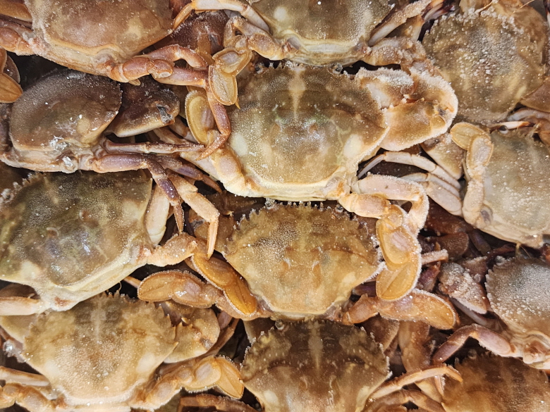 대용량 돌게 10kg : 오성농수산