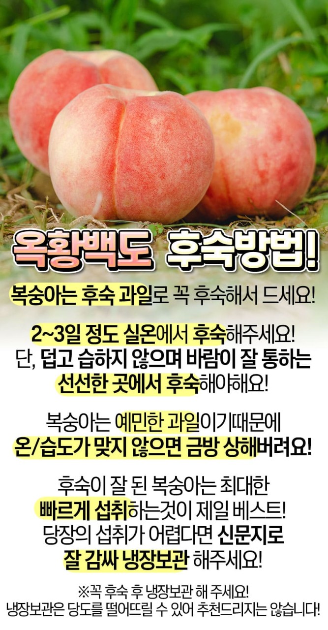 백도 딱딱이