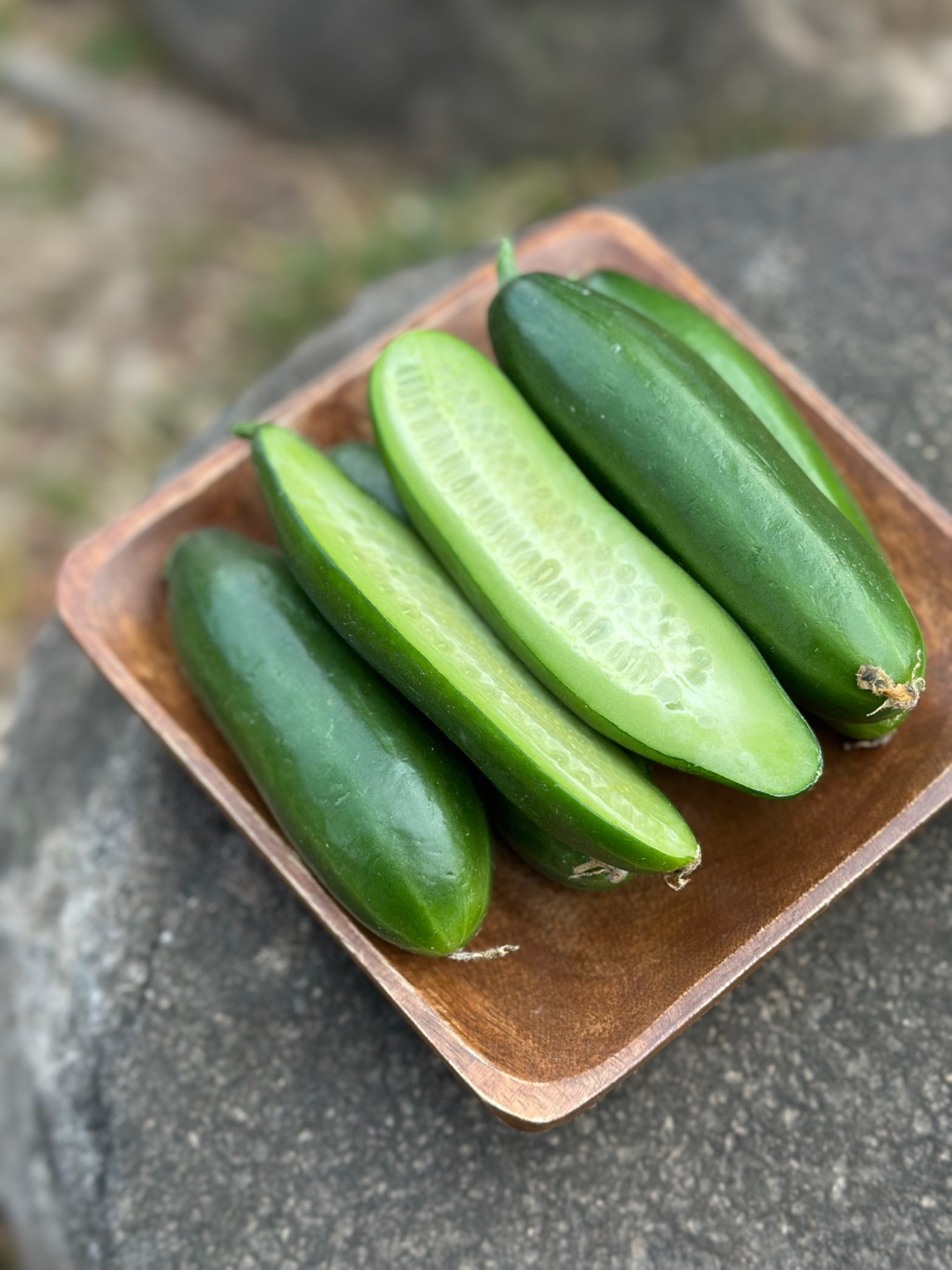 시원 아삭 미니오이🥒