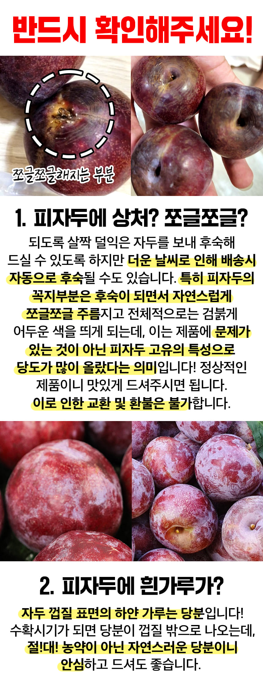 새콤달콤 피자두